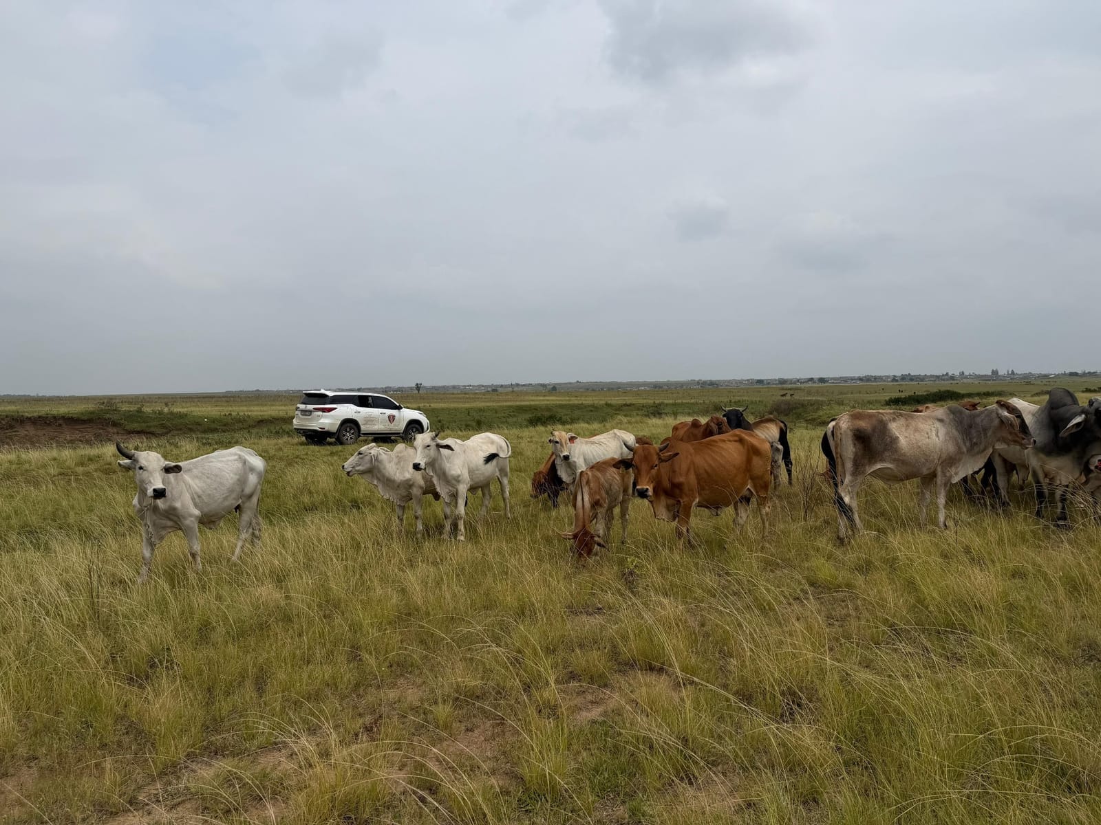 Property & Farm Watch